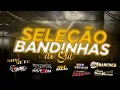 Download Lagu Seleção de Bandinhas do Sul 2021. Dale Bailão.