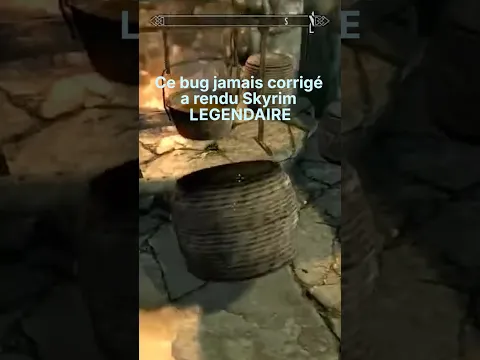 Skyrim : le bug du seau que Bethesda n'a jamais corrigé #skyrim #bethesda #gaming