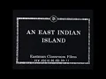 1930s ISLAND OF BALI INDONESIA TRAVELOGUE MOVIE 45014
