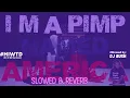 Egosol - A Pimp Named America #slowedandreverb