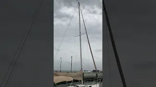 Halyard Police on the Prowl #secondhandsailors #sailing #sailinglife #svdaisymae