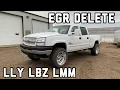 HOW TO DELETE EGR LLY LBZ LMM DURAMAX