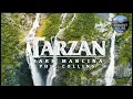 Download Lagu Tarzan | Calm Continuous Mix