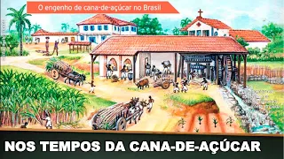 BRASIL NOS TEMPOS DA CANA-DE-AÇÚCAR