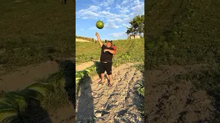 زلمة لمن دايخ 