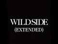 Download Lagu Wild Side (Anime Extended Version)