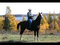 James Rohr Tribute