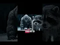 Download Lagu Yeti Rip deal gaat fout #TikTokNL #ai #aivideos #yeti #videoviral #vyp
