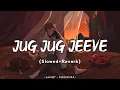 Lagu Jug Jug Jeeve [Slowed + Reverb] - Sachet T, Parampara T | Shiddat Song | Lofi Song | Danish Pwskr