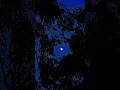 Download Lagu The moon stays! #moon #love #kishorekumar #oldsong #musiclovers #moonlight #kutch #lifeisironic