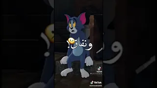 عارف في ناس كرهاني بالعكس ولا يشيل ثواني الطيار 