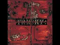 Aftermath - Tricky & Martina Topley-Bird