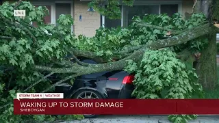 Sheboygan police urge people to avoid driving due to numerous downed trees wires