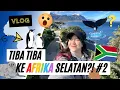 Download Lagu HOKI BANGETT KETEMU PAUSS XD??!! #PART2 VLOG AFRIKA🇿🇦