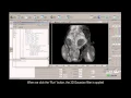 FluoRender OpenCL filters and image processing