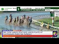 Sir Don Lands Feature Kings Plate at Caymanas Park on Sunday TVJ Sports