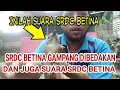 Download Lagu inilah suara srdc betina dan semua ciri cirinya#srdc