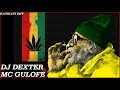 DJ DEXTER \u0026 MC GULOFE ~ BEST REGGAE ROOTS MIX 2020