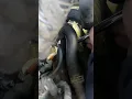 Chevrolet Chevy Cruze Eco 1 8 non turbo intake manifold runner control valve P2078 Part 3