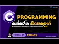 C Sinhala - Tutorial 25 Interfaces Programming Sinhala TechStreet