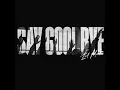 Say Goodbye