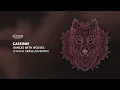 Download Lagu CASSIMM - Dances With Wolves - Chus \u0026 Ceballos Remix