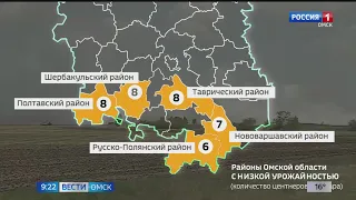 После продолжительных дождей в Омском регионе возобновляется уборочная кампания