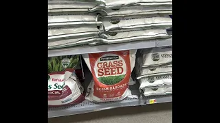 AT Walmart WOW Pennington Sahara Southern Bermudagrass Grass Seed for Full Sun 15 lb