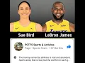 Sue Bird and Lebron James states match but not salaries