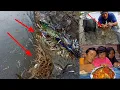Download Lagu Gak Nyangka Akan Dapat Udang Galah Sebanyak ini !!Langsung Masak Untuk Makan Malam Bareng Keluarga