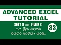 33 - Microsoft Excel Advanced Tutorials Sort and Filter Functions with Example IT Plus SINHALA