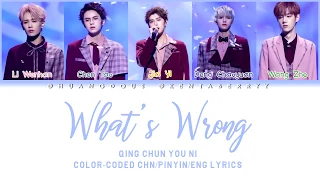 Download QING CHUN YOU NI - WHAT'S WRONG (怎么了) [COLOR CODED CHINESE/PINYIN/ENG LYRICS] MP3