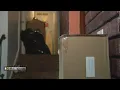 We re stuck right now FirstKey renters get no explanation for eviction notice