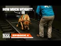 Bully Max Sports Ep 4 UPF Bully Max Weight Pull