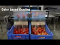 Multiple Fruits Vegetables Grading Machine AI-Powered Image Processing Technology