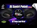 Download Lagu DJ SANTRI PEKOK HOREG SLOW VIRAL BASS BERGETAR TERBARU 2024