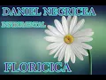 Download Lagu █▬█ █ ▀█▀ 2023...FLORICICA... DANIEL NEGRICEA [DOMN PROFESOR DANCIU ]