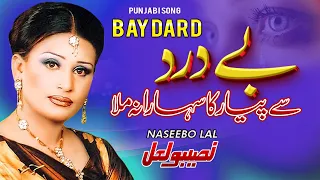 bedardi se pyar ka sahara na mila naseebo lal music art darda bhari naseebo
