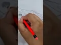 Anatomy of Frog - Phylum Chordata