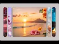 How To create Expanding Image Gallery Using HTML CSS JS