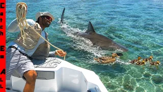 We Found a SHARK Chasing FRESHWATER DUCKS into the DEEP OCEAN!