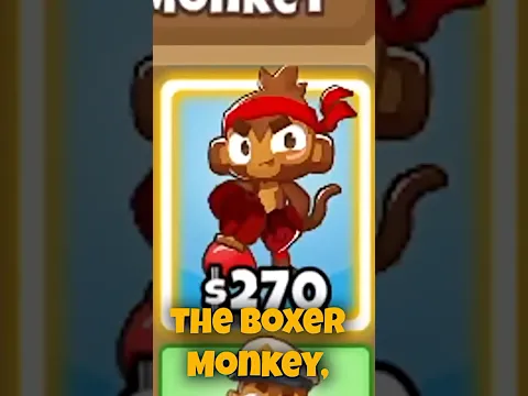 How Much DAMAGE Can A Boxer Monkey Do?
