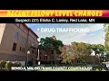 Recent Felony Level Charges In Beltrami County Court