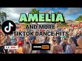 Download Lagu AMELIA REMIX | 2022 TIKTOK HITS | DJRANEL REMIX