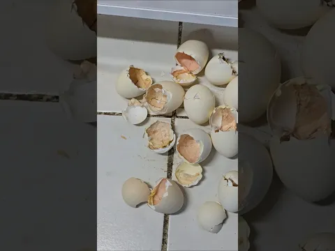 ١ يوليو ٢٠٢٥