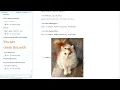 Turning Rough Ideas into Computation with Wolfram AI Assistant
