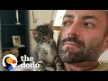 Download Lagu Phone-Sized Kitten Turns Guy Into A Cat Person | The Dodo