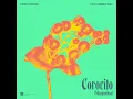 Corocito (Manguelena) - KVSH, Tim Hox & Cumbiafrica