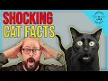 7 Shocking Cat Facts