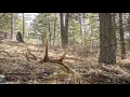 Will It Powder Episode 10 - Magic Elk Antler Oven